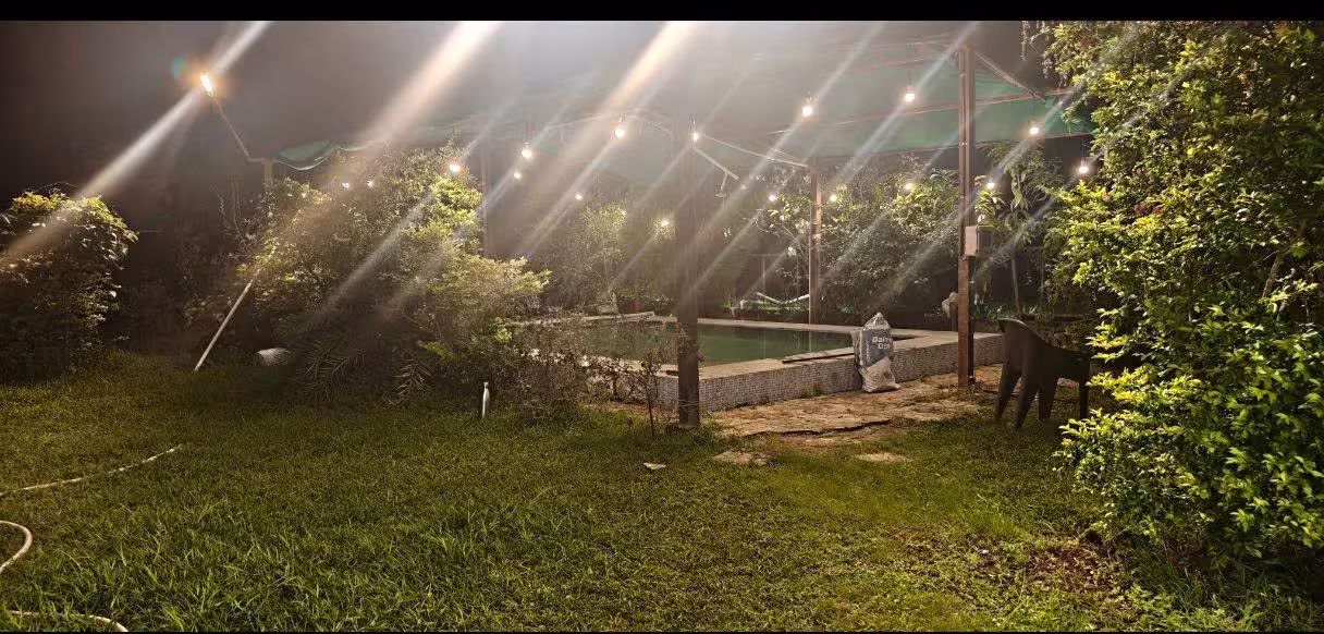 Pool 6