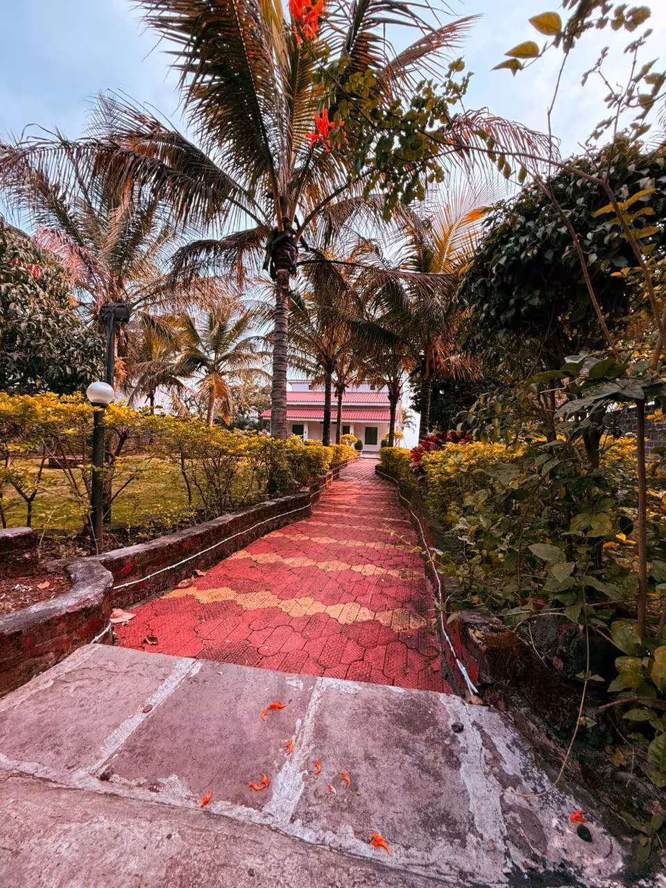 Outdoor 2