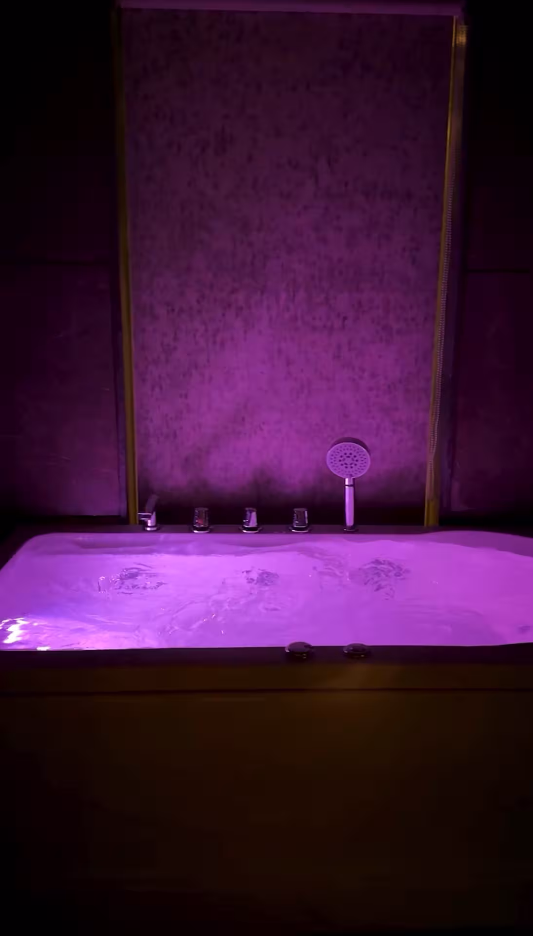 LUXURY ROOM+JACUZZI+POOL
