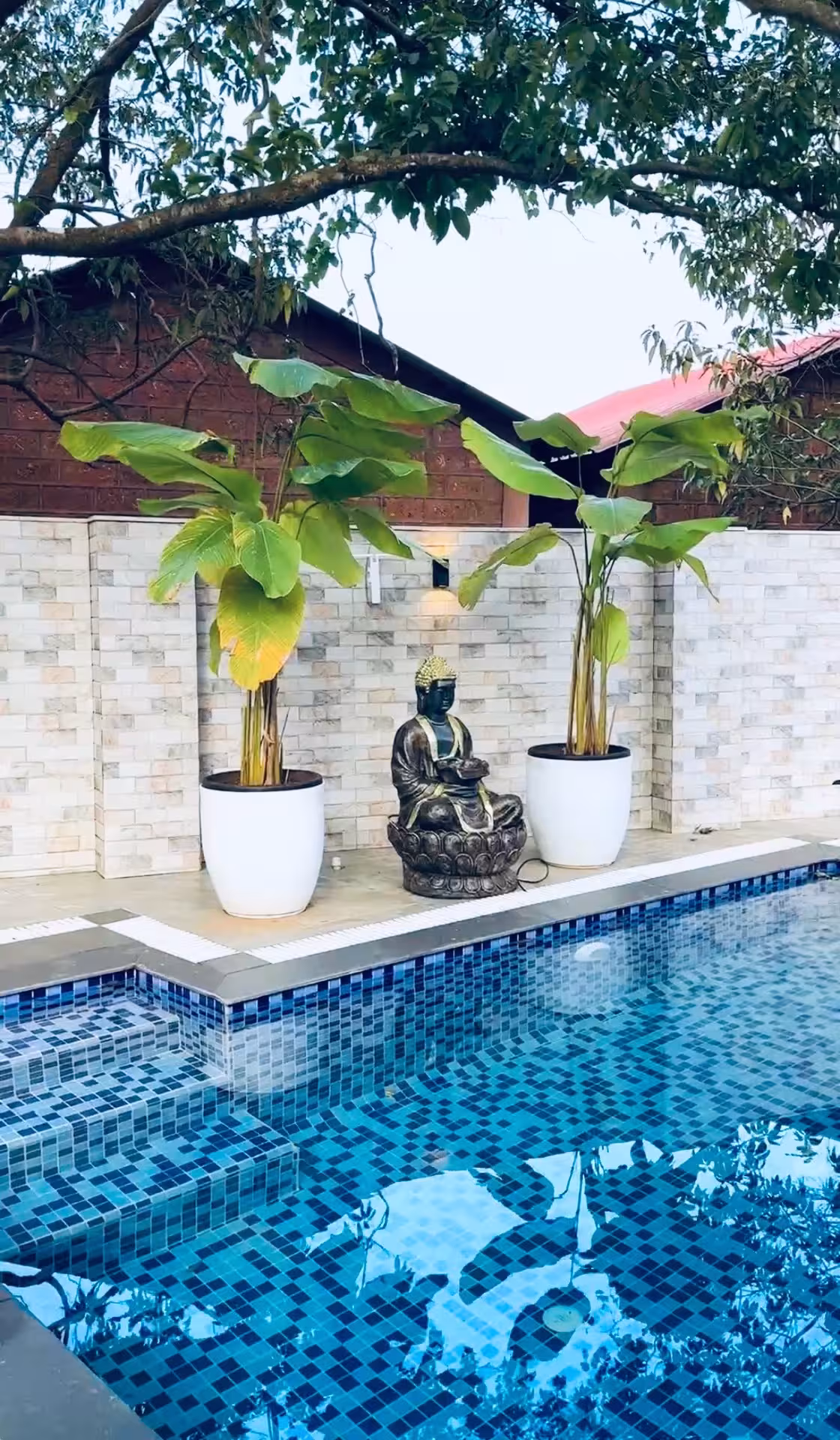 LUXURY ROOM+POOL