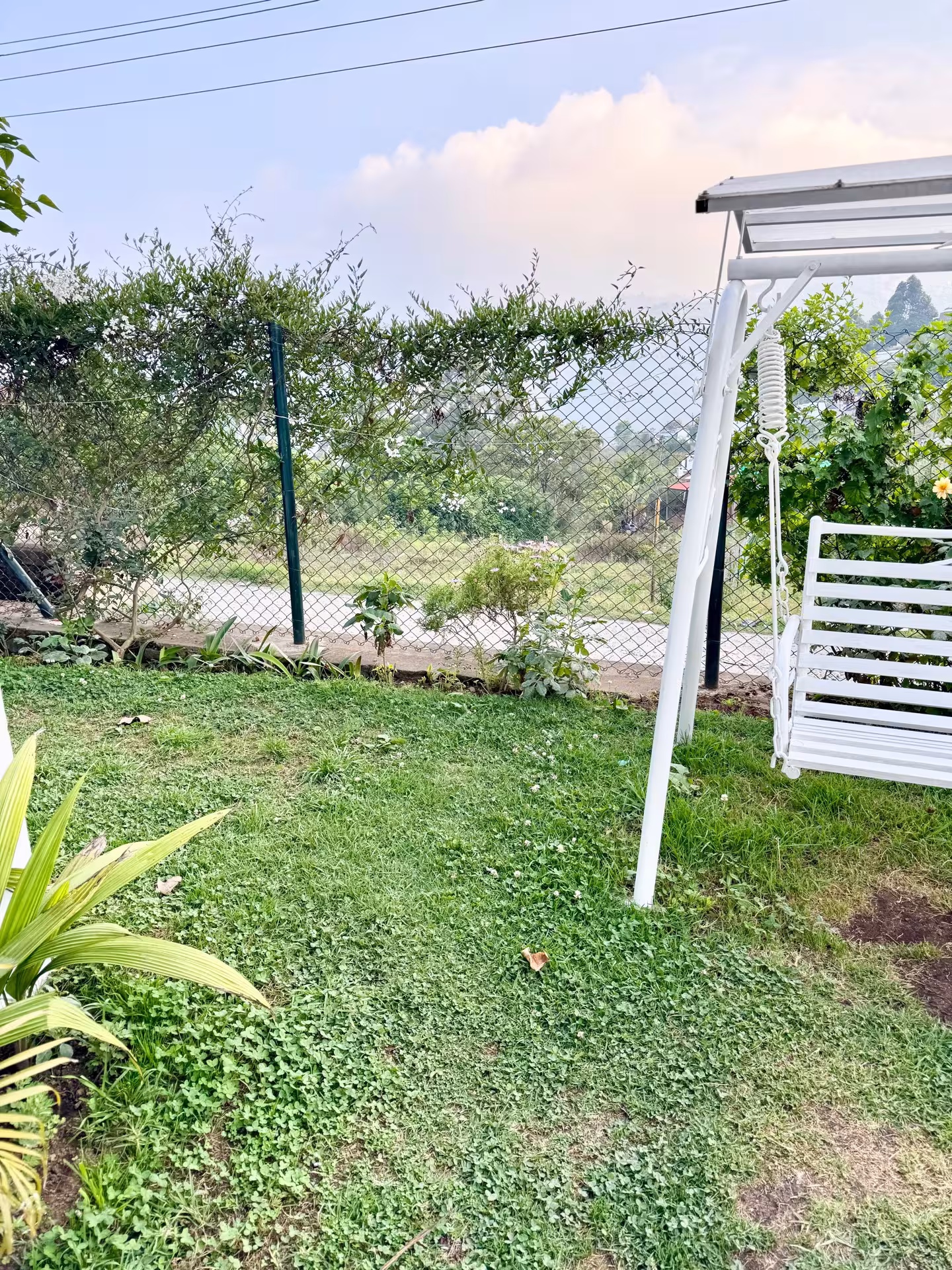 Outdoor 5