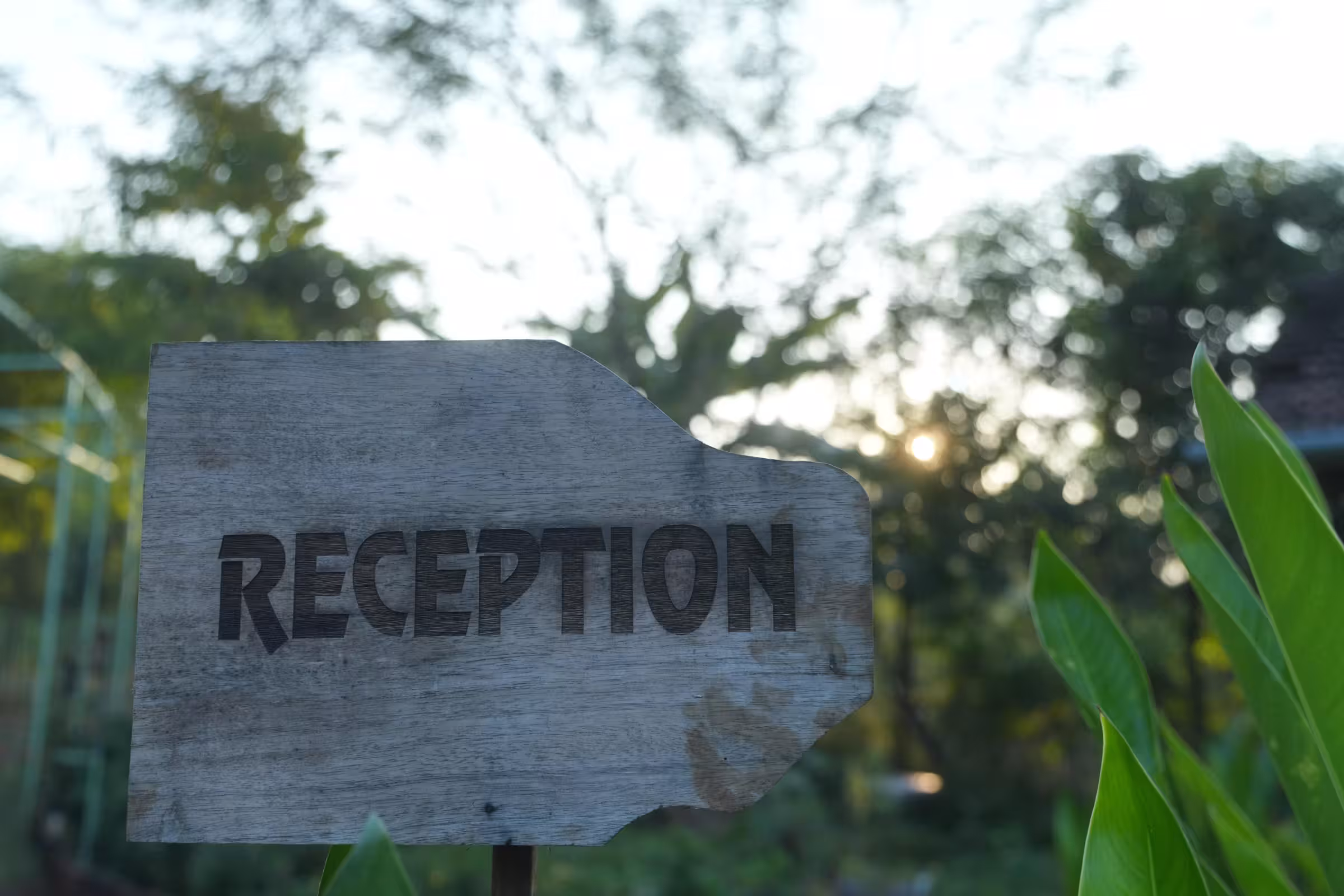 Outdoor 8