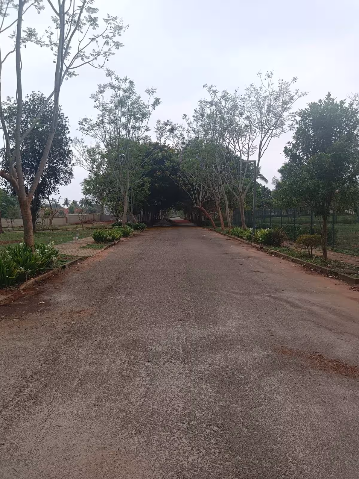 Outdoor 10