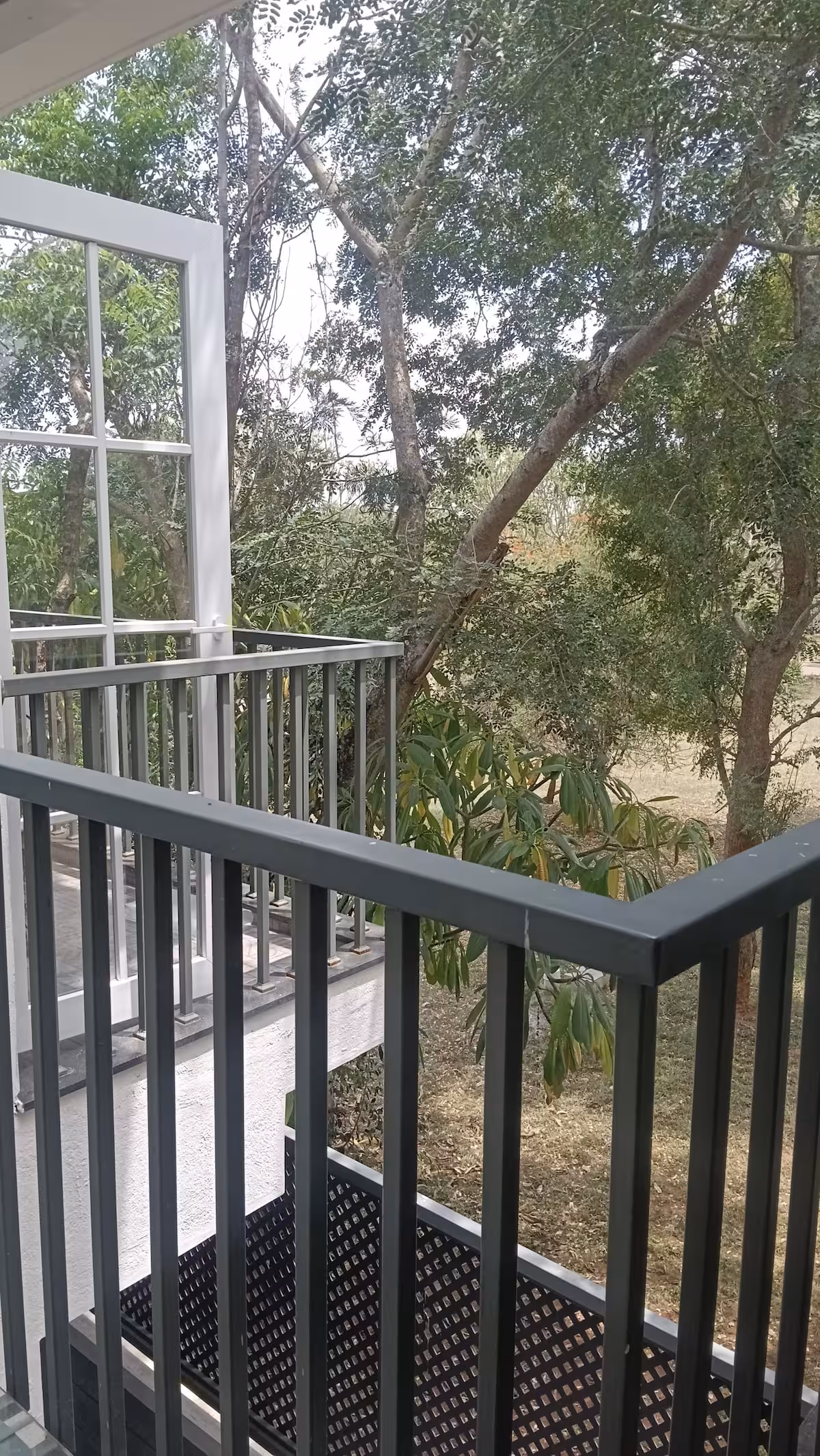 Outdoor 6